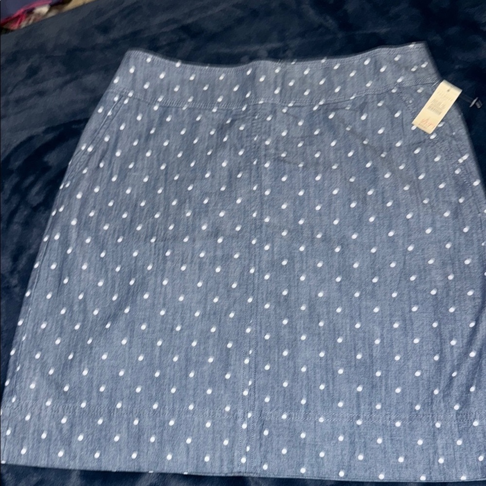 Talbots Blue Dot Pattern Mini Skirt